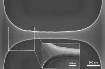 Gold Digger: Neural Networks at the Nexus of Data Science and Electron  microscopy – Max Planck Florida Institute for Neuroscience