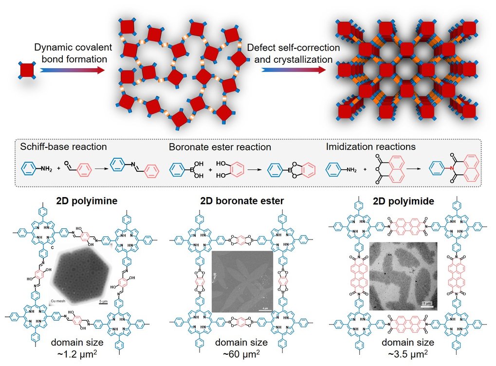 2D Polymer & Interfacial Synthesis