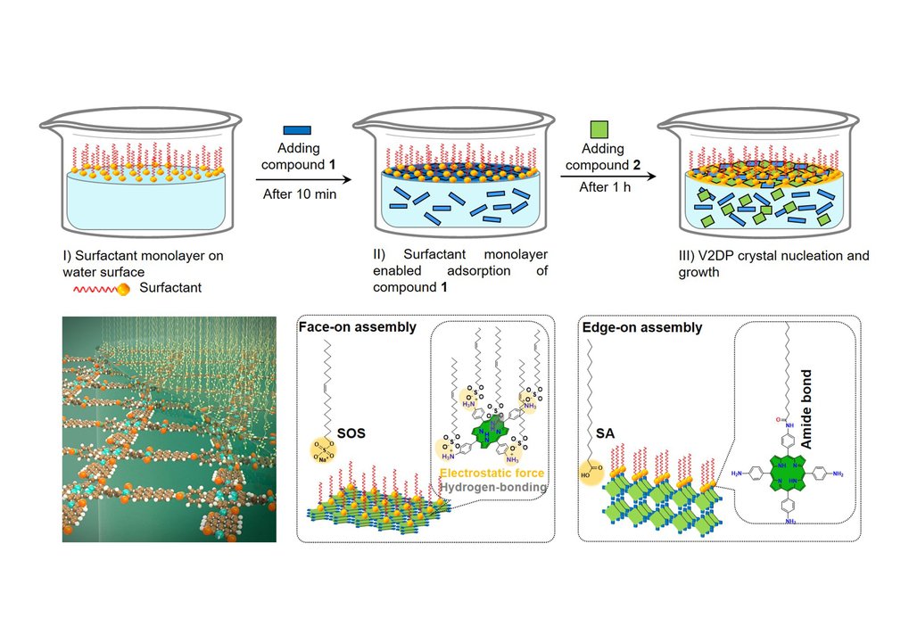 2D Polymer & Interfacial Synthesis