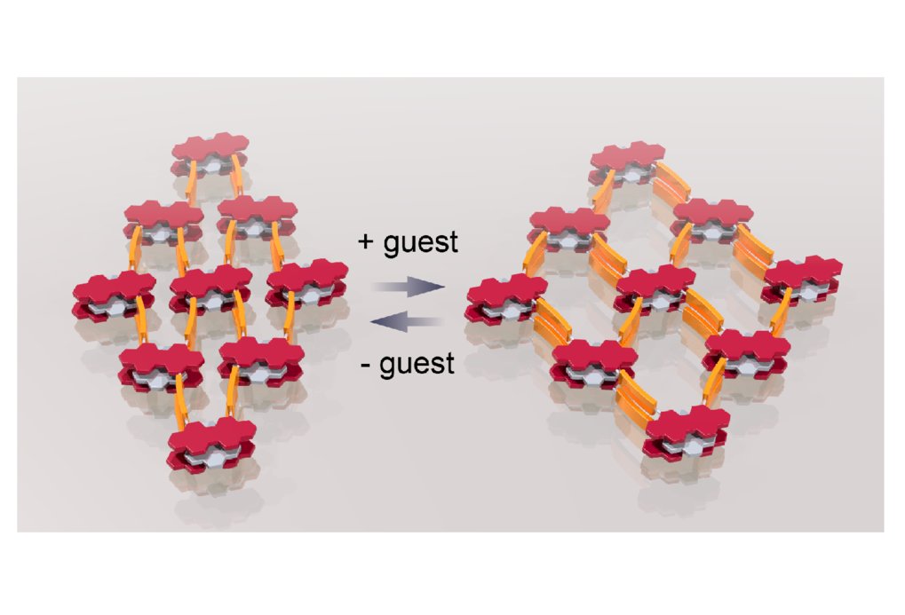 Dynamics and physics of 2D frameworks